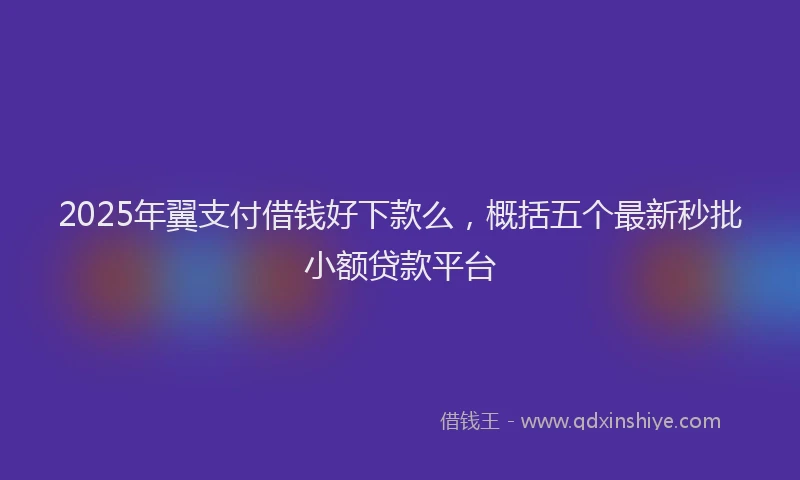 2025年翼支付借钱好下款么，概括五个最新秒批小额贷款平台