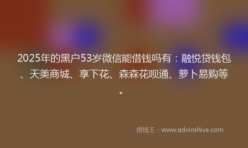 2025年的黑户53岁微信能借钱吗有:融悦贷钱包、天美商城、享下花、森森花呗通、萝卜易购等。