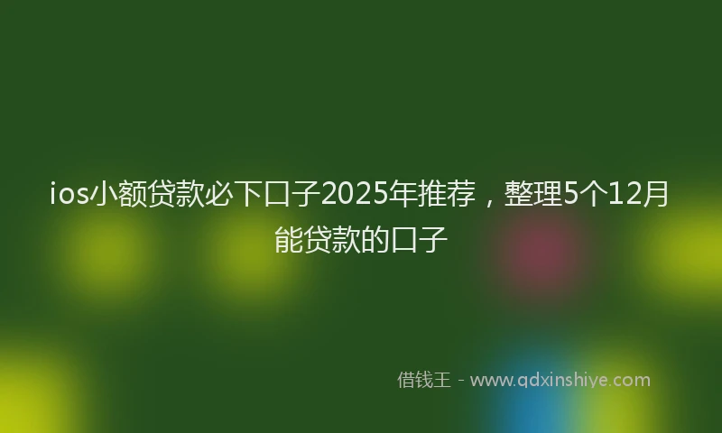 ios小额贷款必下口子2025年推荐，整理5个12月能贷款的口子