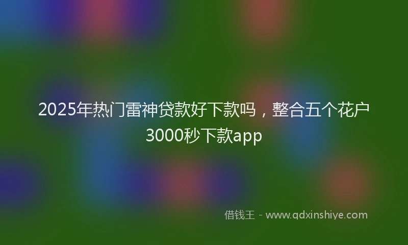 2025年热门雷神贷款好下款吗,整合五个花户3000秒下款app