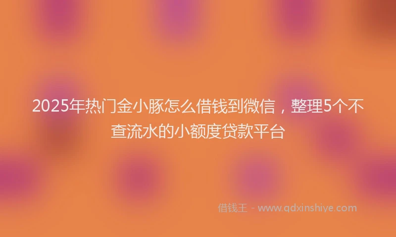 2025年热门金小豚怎么借钱到微信，整理5个不查流水的小额度贷款平台