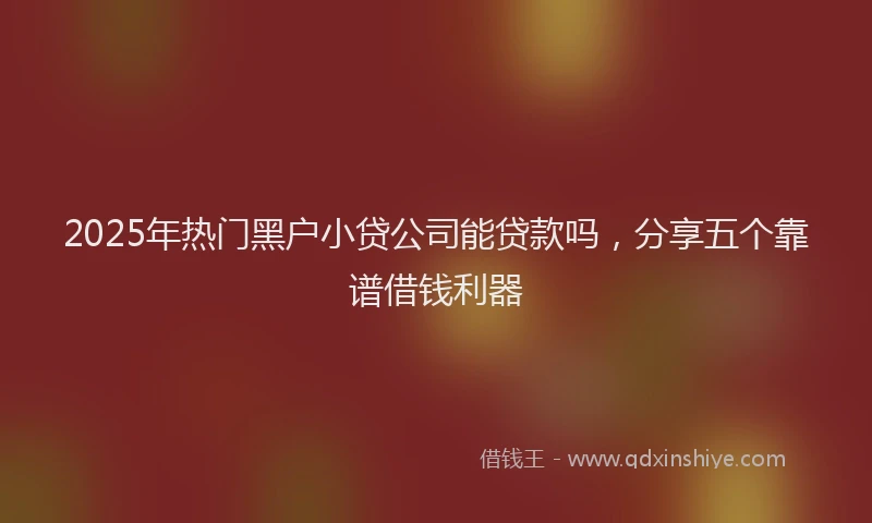 2025年热门黑户小贷公司能贷款吗，分享五个靠谱借钱利器