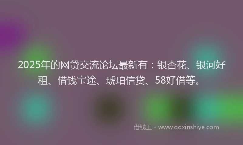 2025年的网贷交流论坛最新有：银杏花、银河好租、借钱宝途、琥珀信贷、58好借等。