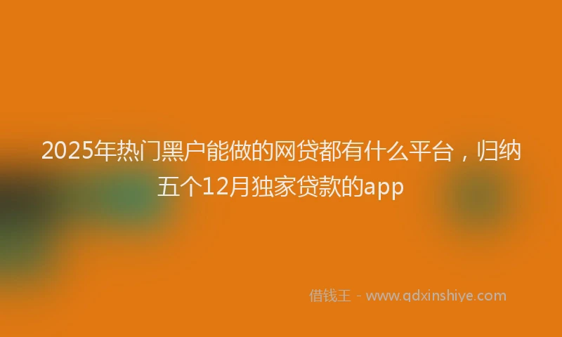 2025年热门黑户能做的网贷都有什么平台,归纳五个12月独家贷款的app
