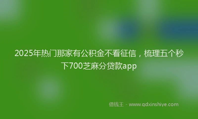 2025年热门那家有公积金不看征信，梳理五个秒下700芝麻分贷款app