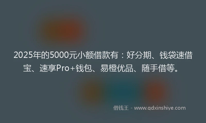 2025年的5000元小额借款有：好分期、钱袋速借宝、速享Pro+钱包、易橙优品、随手借等。
