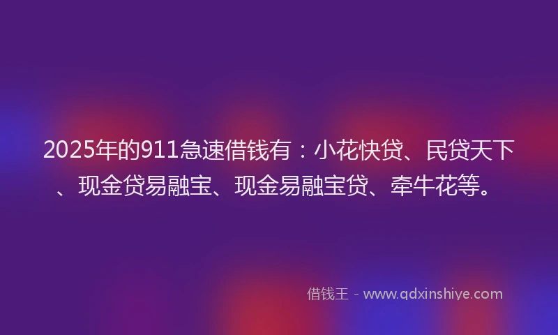 2025年的911急速借钱有：小花快贷、民贷天下、现金贷易融宝、现金易融宝贷、牵牛花等。