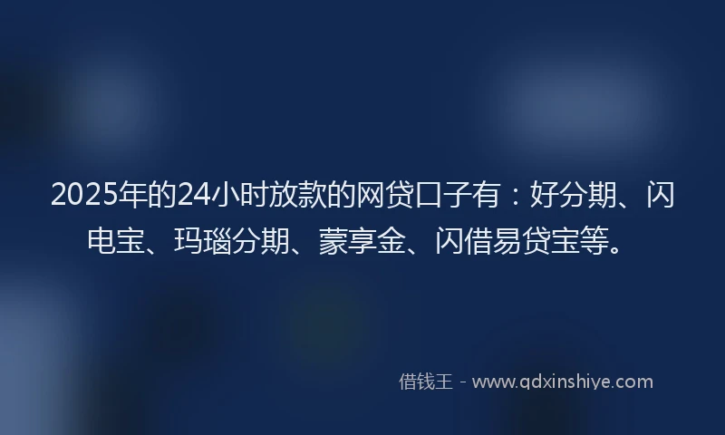 2025年的24小时放款的网贷口子有：好分期、闪电宝、玛瑙分期、蒙享金、闪借易贷宝等。