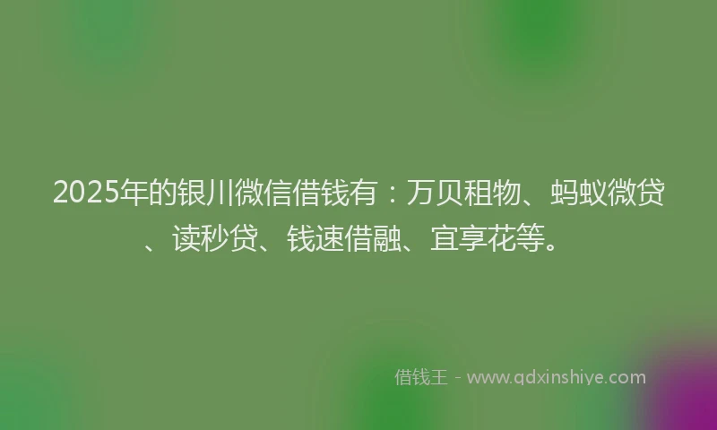 2025年的银川微信借钱有：万贝租物、蚂蚁微贷、读秒贷、钱速借融、宜享花等。