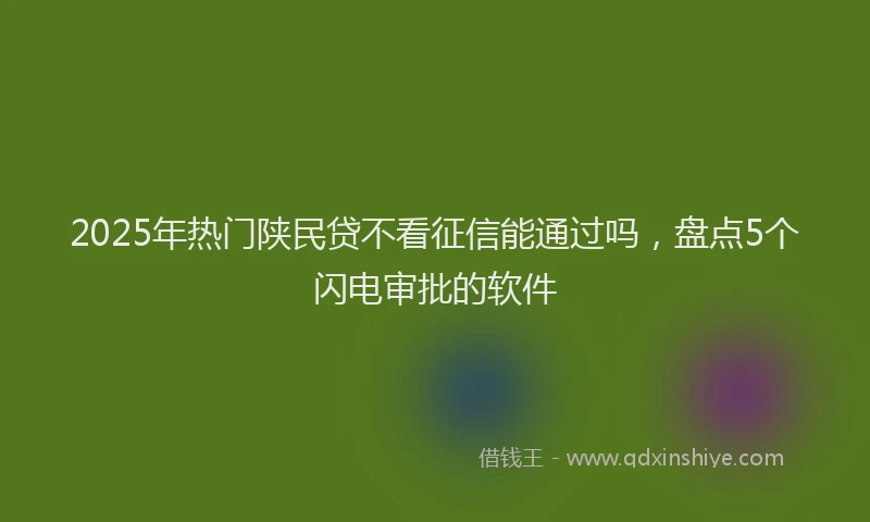2025年热门陕民贷不看征信能通过吗，盘点5个闪电审批的软件