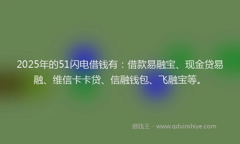 2025年的51闪电借钱有：借款易融宝、现金贷易融、维信卡卡贷、信融钱包、飞融宝等。