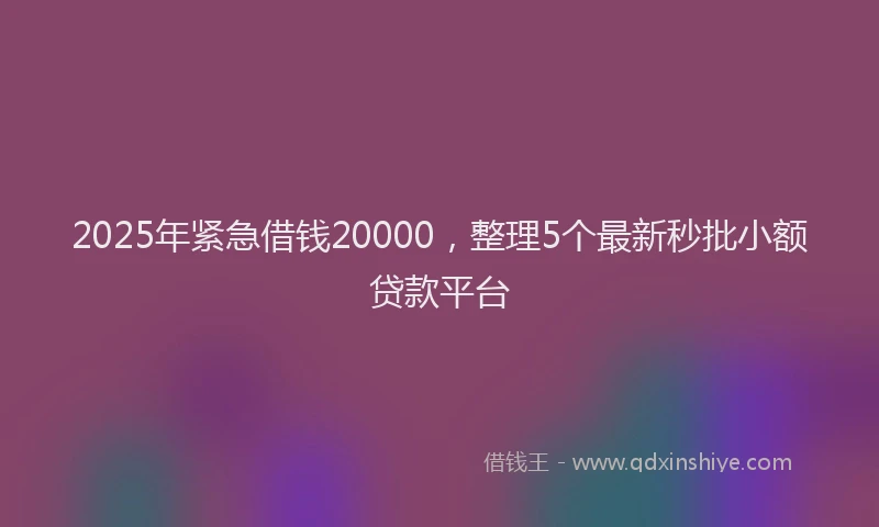 2025年紧急借钱20000，整理5个最新秒批小额贷款平台