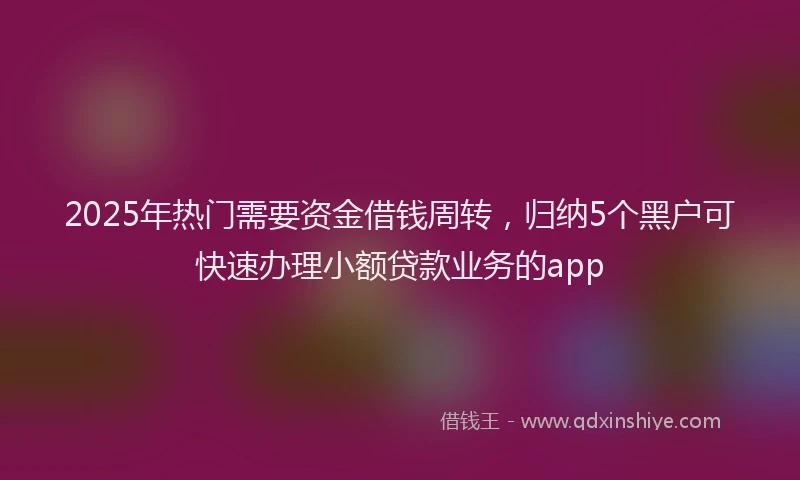 2025年热门需要资金借钱周转，归纳5个黑户可快速办理小额贷款业务的app