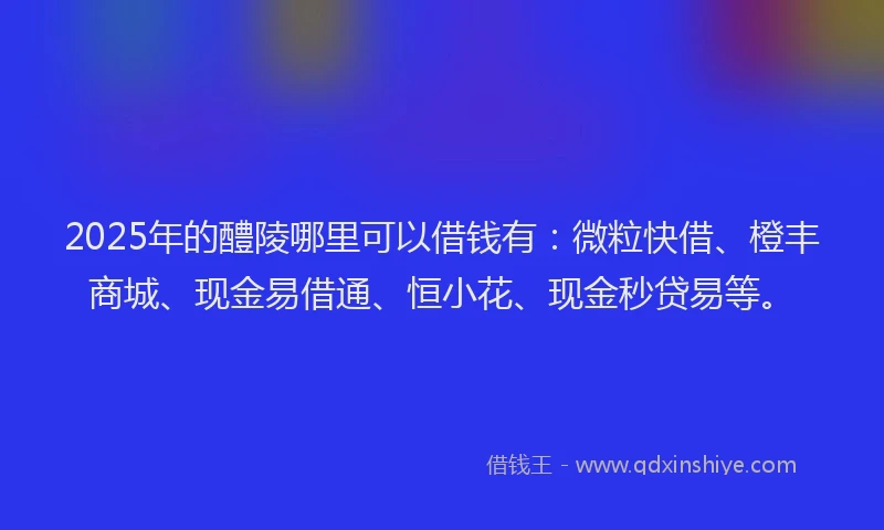 2025年的醴陵哪里可以借钱有：微粒快借、橙丰商城、现金易借通、恒小花、现金秒贷易等。