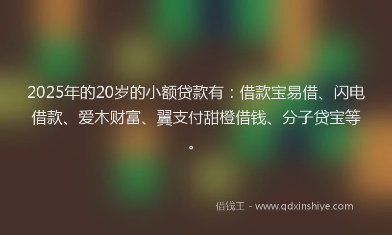 2025年的20岁的小额贷款有：借款宝易借、闪电借款、爱木财富、翼支付甜橙借钱、分子贷宝等。