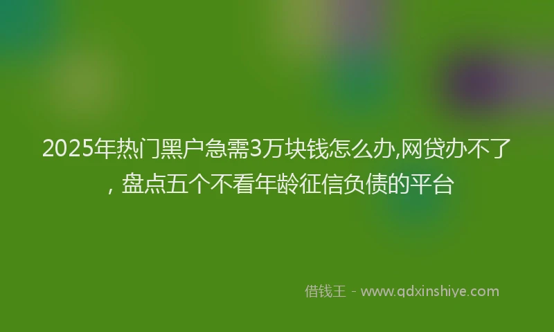 2025年热门黑户急需3万块钱怎么办,网贷办不了，盘点五个不看年龄征信负债的平台