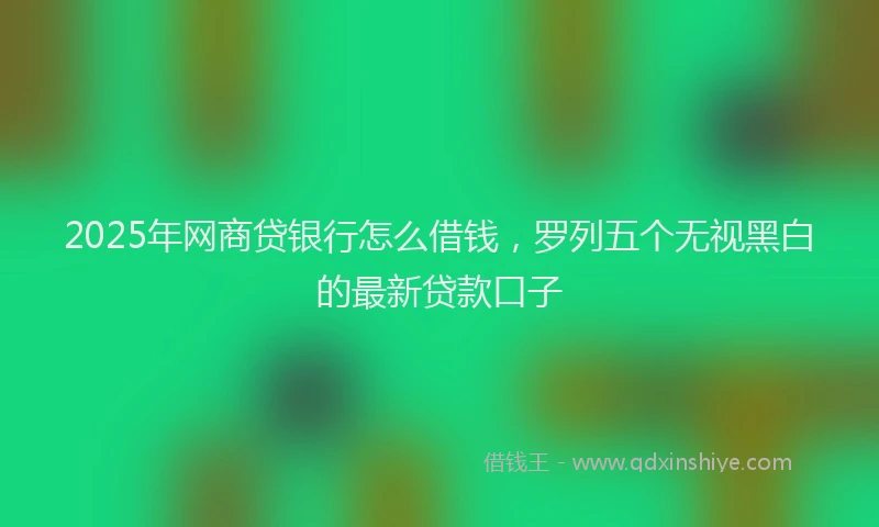 2025年网商贷银行怎么借钱，罗列五个无视黑白的最新贷款口子