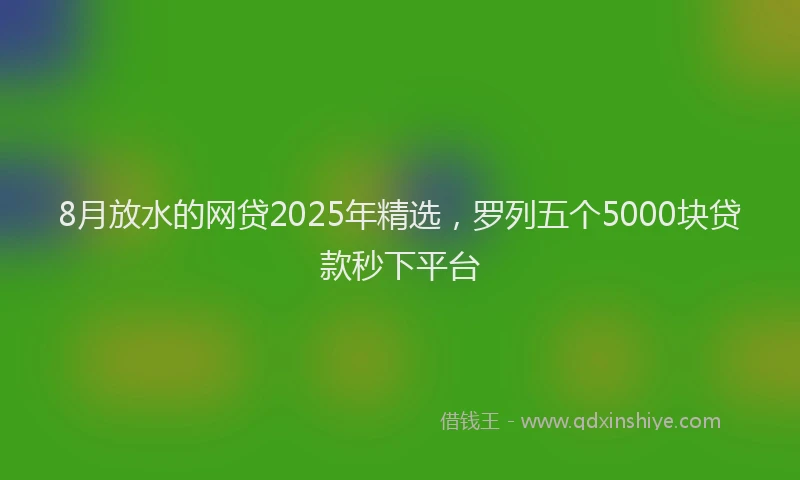 8月放水的网贷2025年精选，罗列五个5000块贷款秒下平台