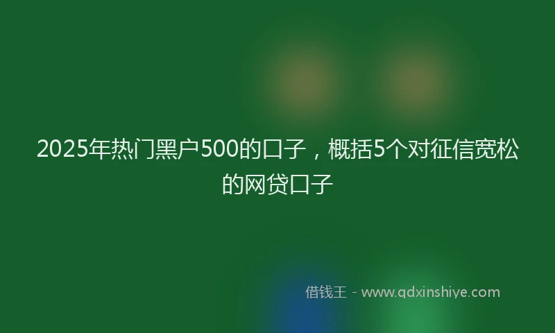 2025年热门黑户500的口子，概括5个对征信宽松的网贷口子