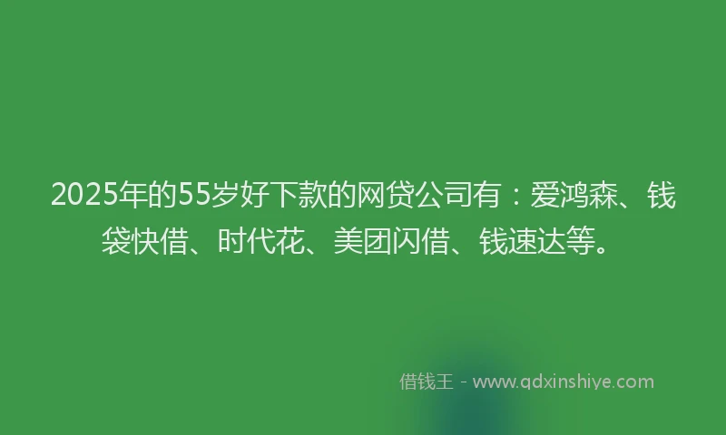 2025年的55岁好下款的网贷公司有：爱鸿森、钱袋快借、时代花、美团闪借、钱速达等。