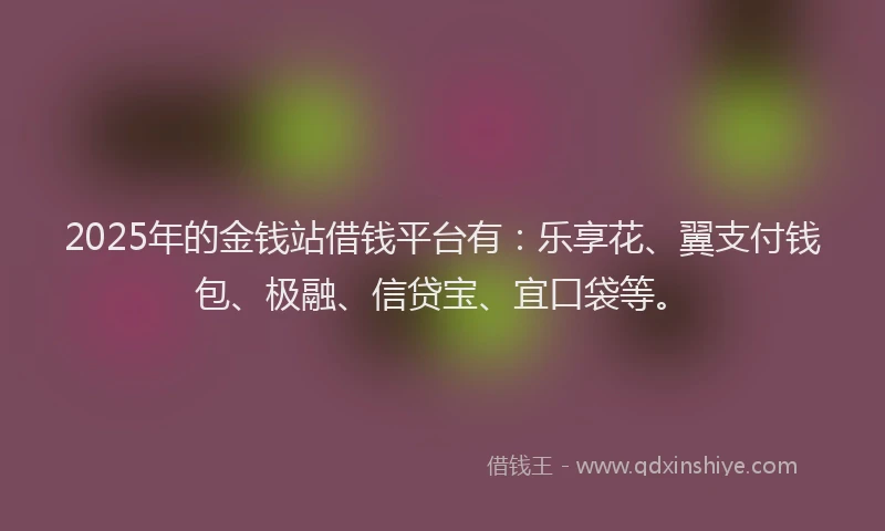 2025年的金钱站借钱平台有：乐享花、翼支付钱包、极融、信贷宝、宜口袋等。