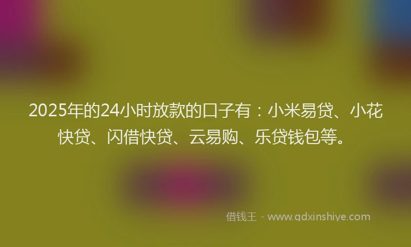 2025年的24小时放款的口子有：小米易贷、小花快贷、闪借快贷、云易购、乐贷钱包等。