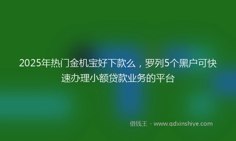 2025年热门金机宝好下款么，罗列5个黑户可快速办理小额贷款业务的平台