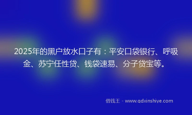 2025年的黑户放水口子有：平安口袋银行、呼吸金、苏宁任性贷、钱袋速易、分子贷宝等。