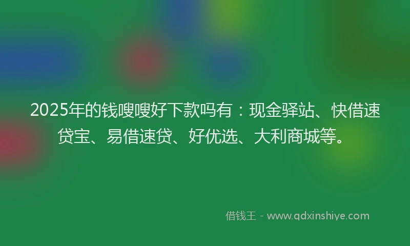 2025年的钱嗖嗖好下款吗有：现金驿站、快借速贷宝、易借速贷、好优选、大利商城等。