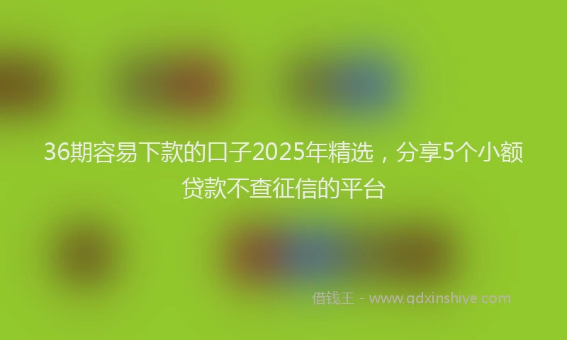 36期容易下款的口子2025年精选，分享5个小额贷款不查征信的平台