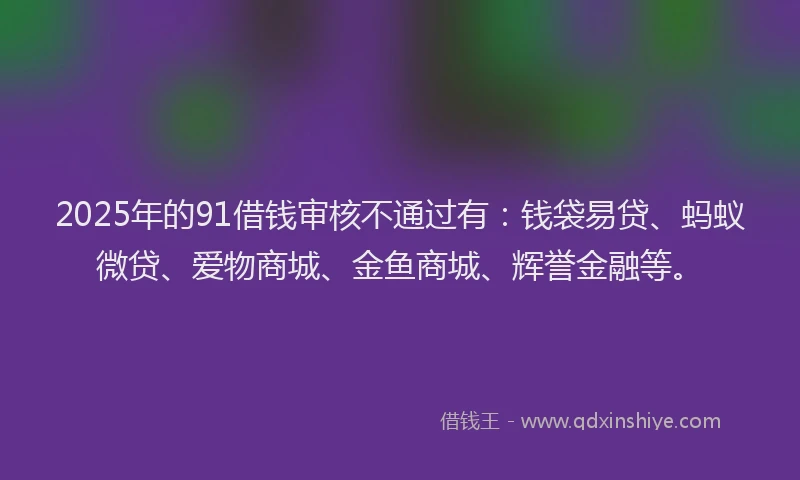 2025年的91借钱审核不通过有：钱袋易贷、蚂蚁微贷、爱物商城、金鱼商城、辉誉金融等。
