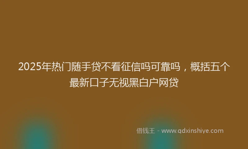 2025年热门随手贷不看征信吗可靠吗，概括五个最新口子无视黑白户网贷