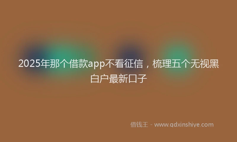 2025年那个借款app不看征信，梳理五个无视黑白户最新口子