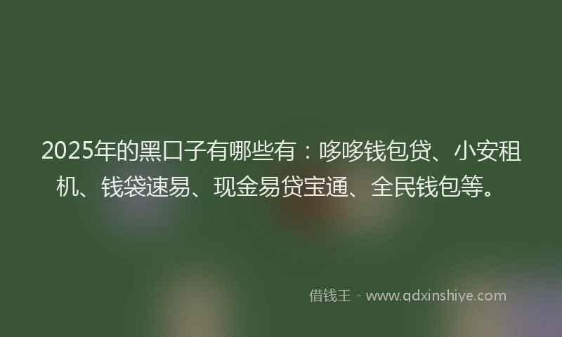 2025年的黑口子有哪些有：哆哆钱包贷、小安租机、钱袋速易、现金易贷宝通、全民钱包等。