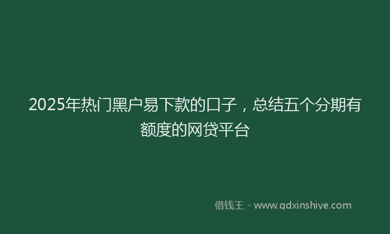 2025年热门黑户易下款的口子，总结五个分期有额度的网贷平台