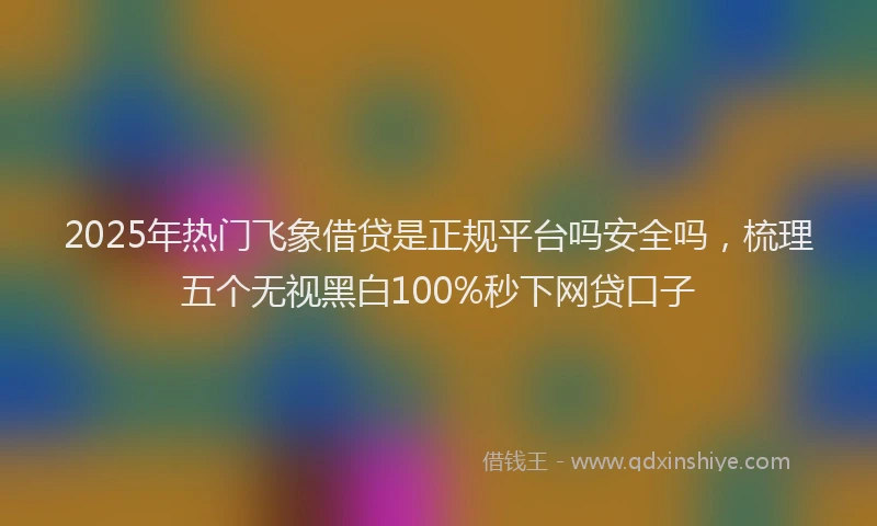 2025年热门飞象借贷是正规平台吗安全吗，梳理五个无视黑白100%秒下网贷口子