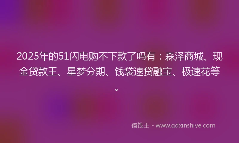 2025年的51闪电购不下款了吗有：森泽商城、现金贷款王、星梦分期、钱袋速贷融宝、极速花等。