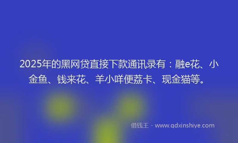 2025年的黑网贷直接下款通讯录有：融e花、小金鱼、钱来花、羊小咩便荔卡、现金猫等。
