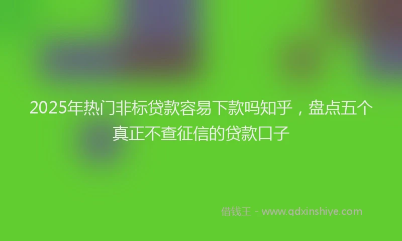 2025年热门非标贷款容易下款吗知乎,盘点五个真正不查征信的贷款口子