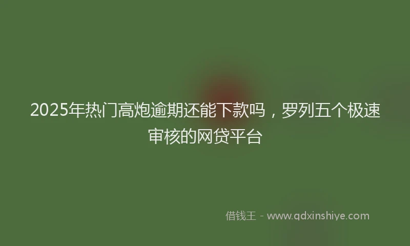 2025年热门高炮逾期还能下款吗，罗列五个极速审核的网贷平台