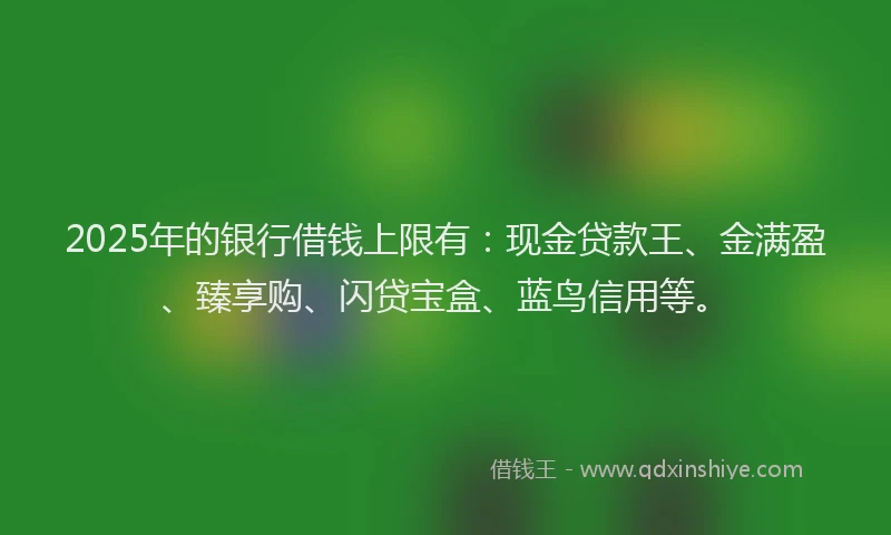 2025年的银行借钱上限有：现金贷款王、金满盈、臻享购、闪贷宝盒、蓝鸟信用等。