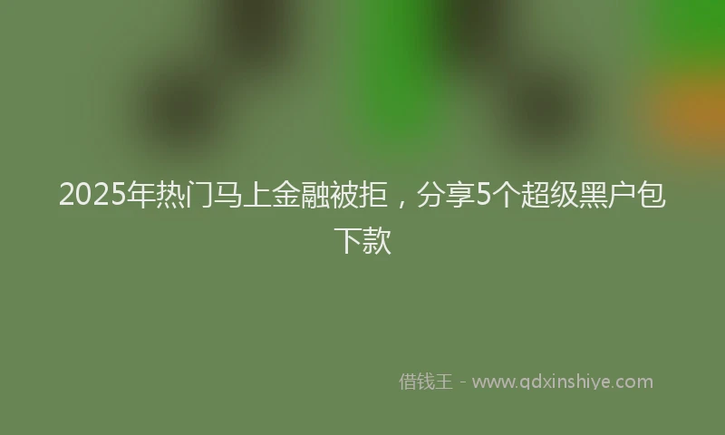 2025年热门马上金融被拒，分享5个超级黑户包下款