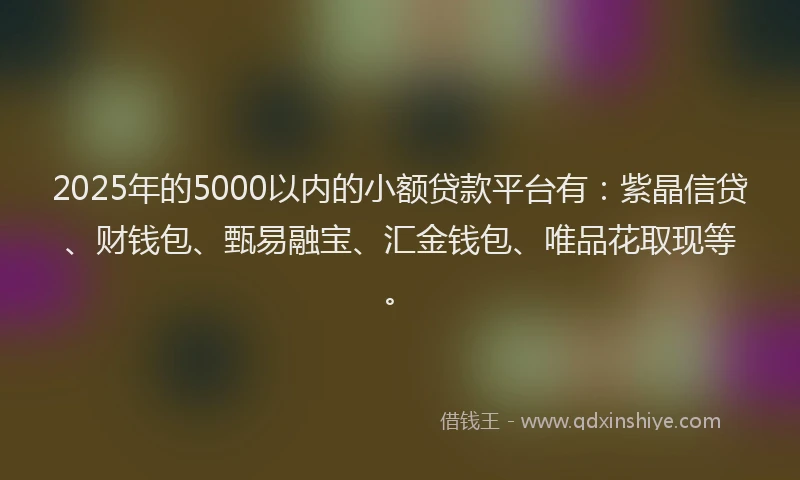 2025年的5000以内的小额贷款平台有：紫晶信贷、财钱包、甄易融宝、汇金钱包、唯品花取现等。