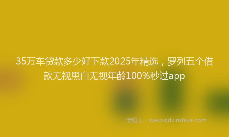 35万车贷款多少好下款2025年精选，罗列五个借款无视黑白无视年龄100%秒过app