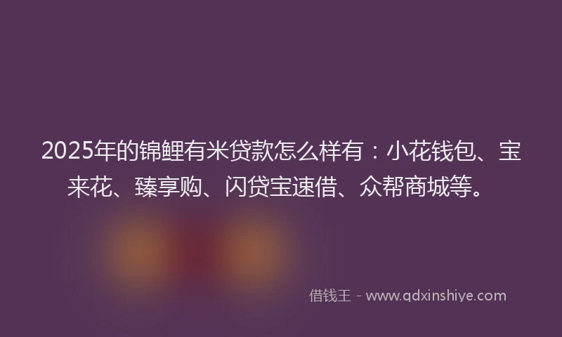 2025年的锦鲤有米贷款怎么样有：小花钱包、宝来花、臻享购、闪贷宝速借、众帮商城等。