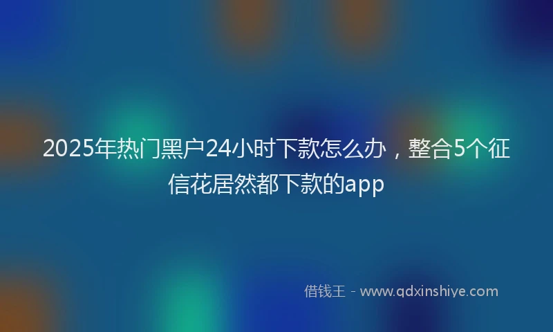 2025年热门黑户24小时下款怎么办，整合5个征信花居然都下款的app