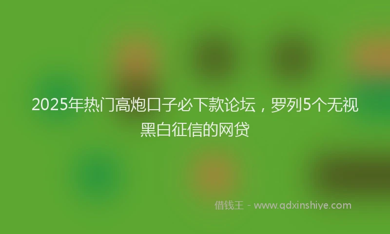 2025年热门高炮口子必下款论坛，罗列5个无视黑白征信的网贷
