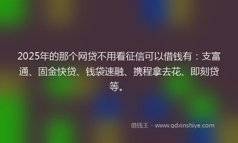 2025年的那个网贷不用看征信可以借钱有：支富通、固金快贷、钱袋速融、携程拿去花、即刻贷等。