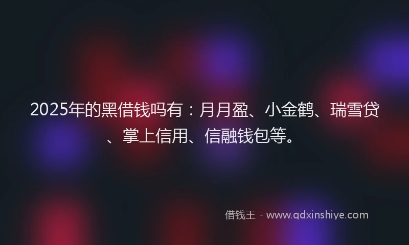 2025年的黑借钱吗有：月月盈、小金鹤、瑞雪贷、掌上信用、信融钱包等。