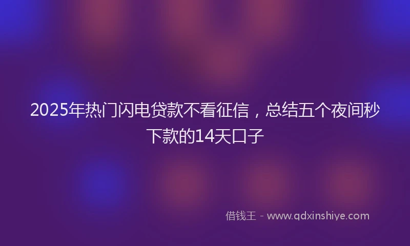 2025年热门闪电贷款不看征信，总结五个夜间秒下款的14天口子